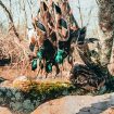 aaron-james-ocr_P_dPiHs-unsplash