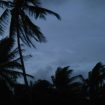 alexey-demidov-tujBt-jPucM-unsplash