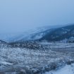 anastasia-zolotukhina-tPMlQufoBHE-unsplash