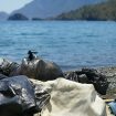 anastasiia-nelen-PIP1QgD4D00-unsplash