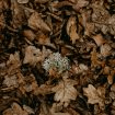 annie-spratt-SfbRzFHVFAI-unsplash