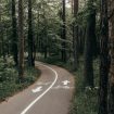 artur-stanulevich-4xKrVqCwqzE-unsplash (1)
