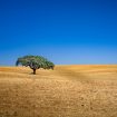 bernardo-lorena-ponte-GcBKr7Nk60w-unsplash