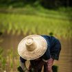 eduardo-prim-3u51-uLQICc-unsplash (1)