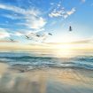 frank-mckenna-OD9EOzfSOh0-unsplash