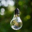 franz-grossmann-mEFJ1BUyQUo-unsplash
