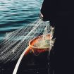 fredrik-ohlander-CbeApl8sxxw-unsplash