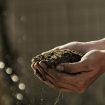 gabriel-jimenez-jin4W1HqgL4-unsplash gabriel-jimenez-jin4W1HqgL4-unsplash
