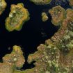 jaanus-jagomagi-uPp_9j4pJJE-unsplash (1)