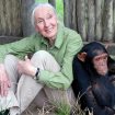 jane_goodall_jpg_1200x0_crop_q85