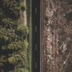 justus-menke-Xywi2MePlYQ-unsplash (1) (1)