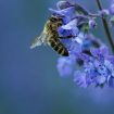 lukasz-rawa-BJFymR2p2M4-unsplash