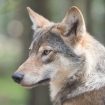 m-zonderling-WFPWB7Vum1E-unsplash
