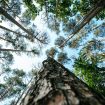 markus-spiske-Y-YaTBtNzKo-unsplash