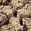 markus-spiske-srwTnERpPv0-unsplash (1)