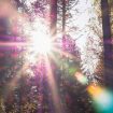 patrick-5E-_orYLhs0-unsplash