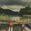 pawel-janiak-FOa_hZ1bxiI-unsplash
