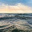 robert-katzki-J6OURcqeNZ4-unsplash