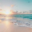 sean-oulashin-KMn4VEeEPR8-unsplash