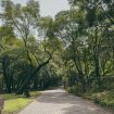soliman-cifuentes-4UpkETq5OZ8-unsplash