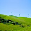 spencer-demera-gVovw4ZUd5c-unsplash