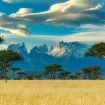 thomas-bennie-1jlJrr4XGkU-unsplash (1)