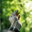 tobias-weinhold-hXPomXrpUP0-unsplash