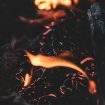 vlad-legun-3wySnBRlyYs-unsplash