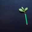 yura-batiushyn-Y7JEzRiGYqo-unsplash